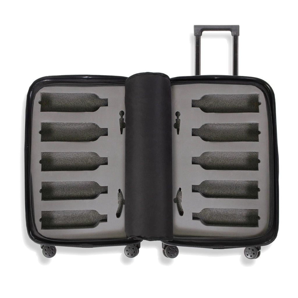 The Ten (10-Bottle) Wine Luggage, TSA Approved Anti-Theft Zipper, Lightweight Hard Shell Spinner Suitcase