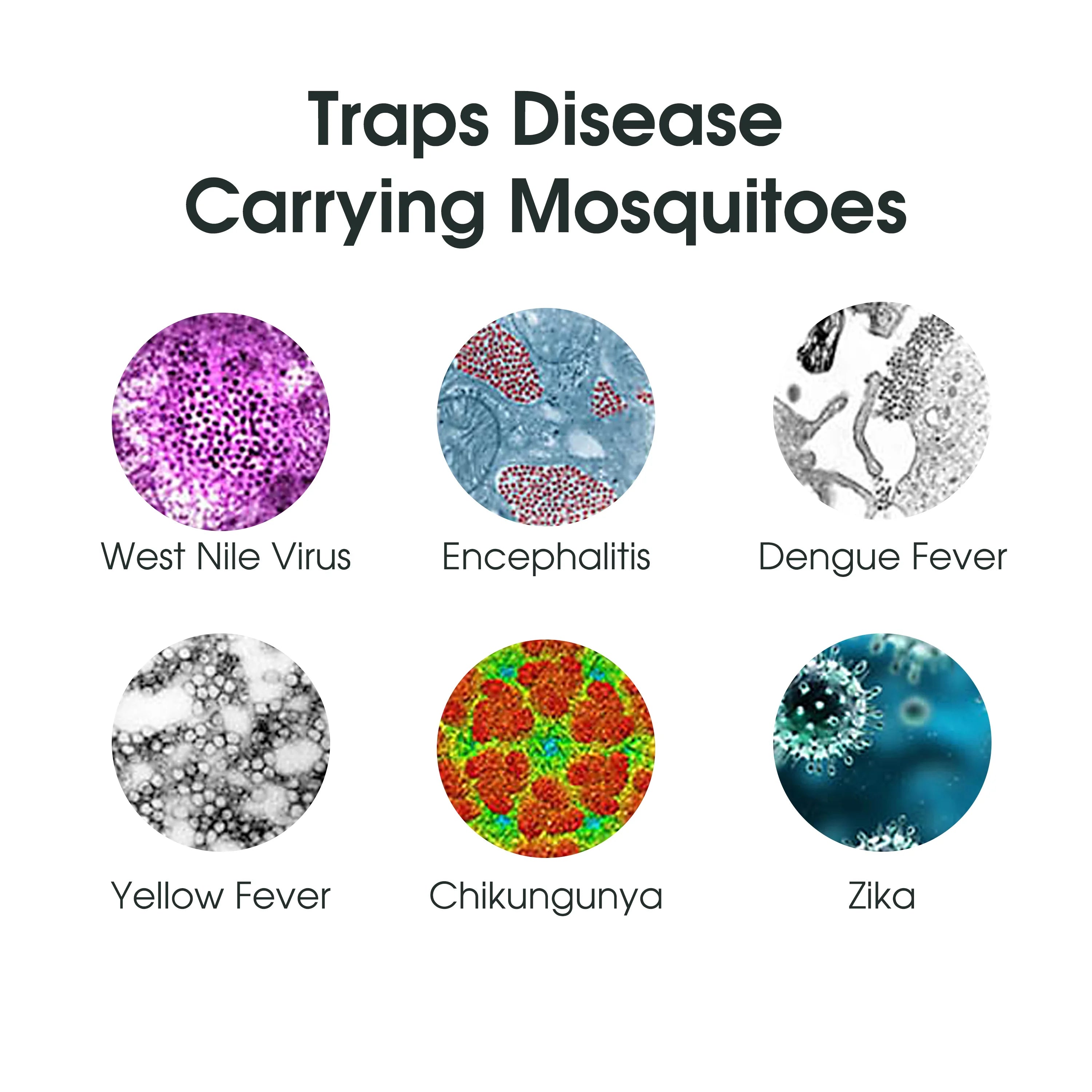 Mosquito Magnet Executive Mosquito Trap